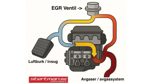 Diagram som visar hur man koppla bort EGR ventil. Luftintag och avgassystem kopplas till motorn.