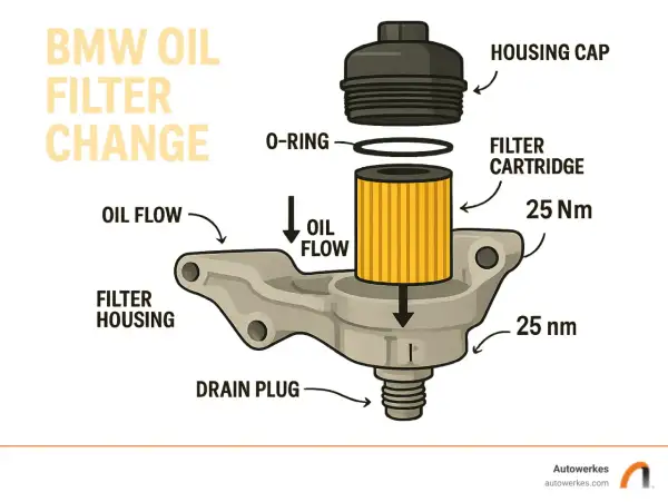 Illustration visar hur man byta oljefilter på en BMW. Delar inkluderar filterhus, filterinsats, O-ring och huslock.